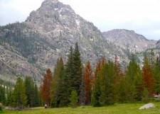 Holly, hiking in New Fork Canyon.